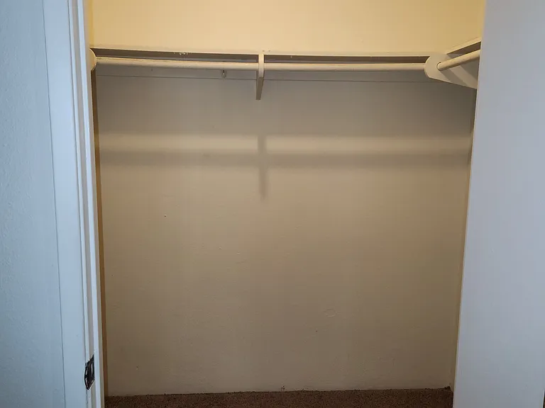Spacious walk-in closet.