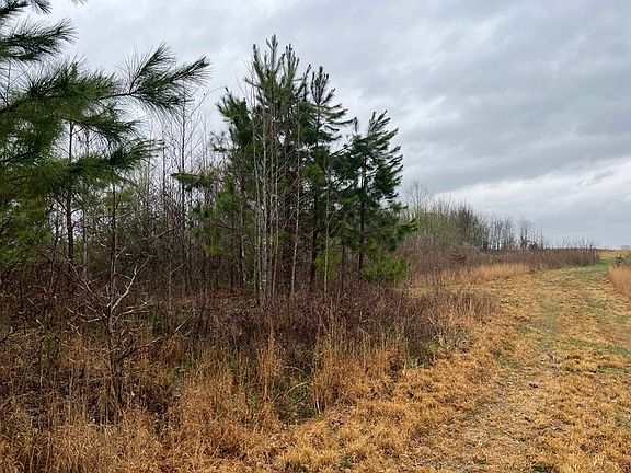 2nd image of 0 Perry School House Rd