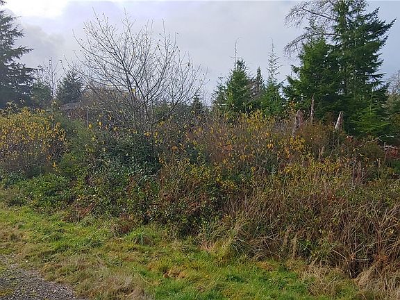 5th image of 2707 Crane Pl