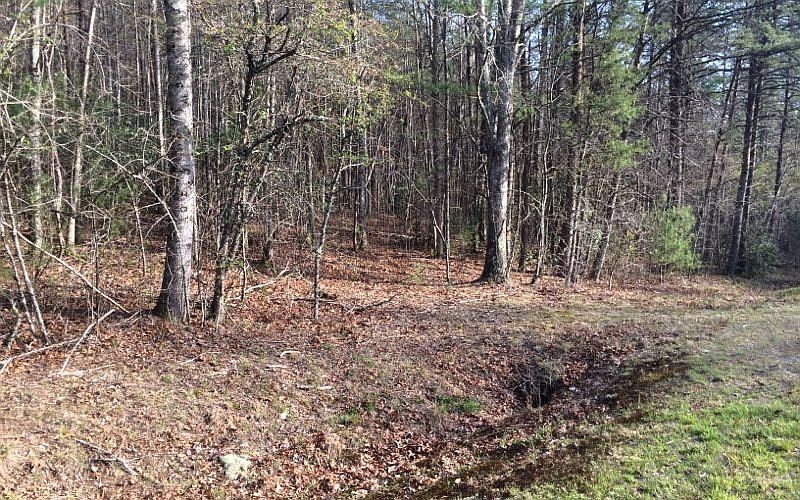 2nd image of 9939 Many Forks Rd
