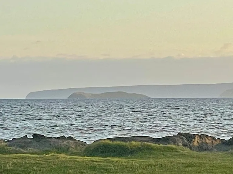Window View