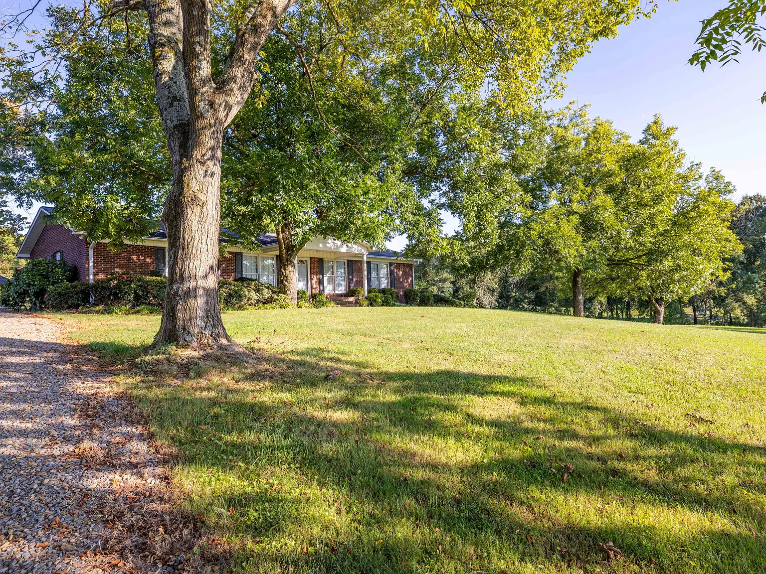 34838 Ellen Road - 1 — Photo 4