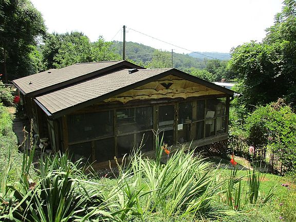 view from side of back yard