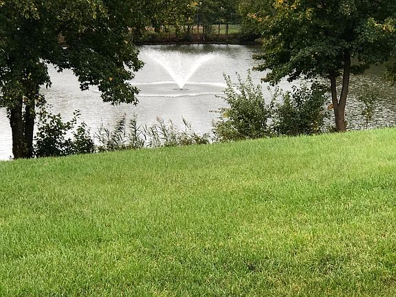 View from the back yard