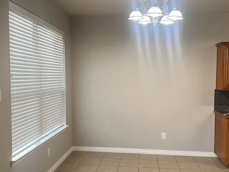 1509 Weeping Willow Ln — Photo 8