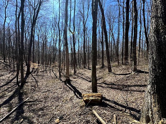 5th image of 1061 Poplar Ridge Rd