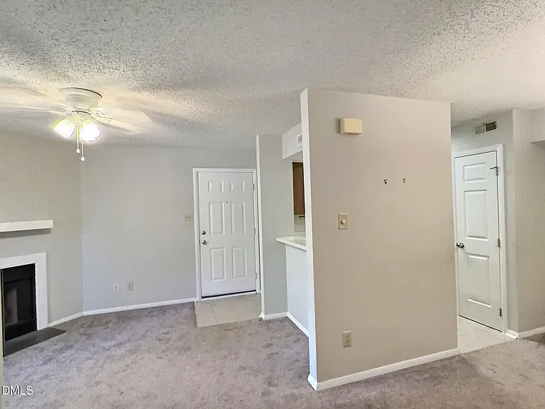 3803 Chimney Ridge Pl #3 — Photo 5