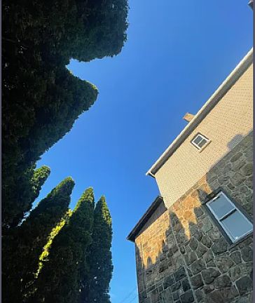2nd image of 573 Hillside Ave