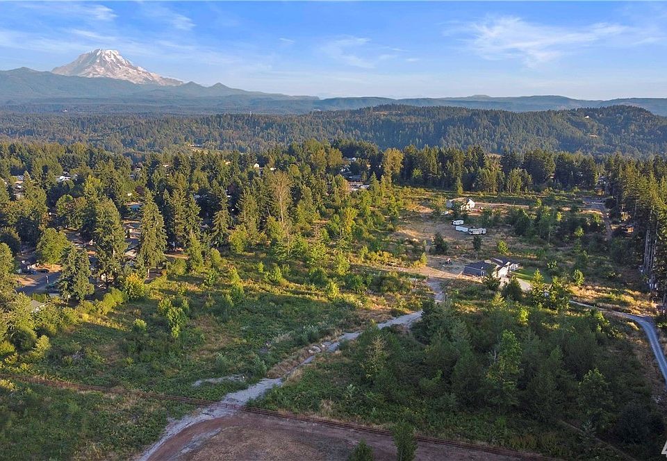Ariel view of parcel going from left to right in picture with Mt Rainier in the distance 