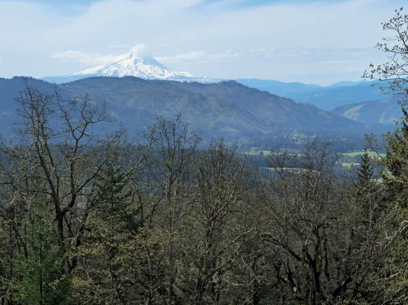 Lyons Rd, Husum, WA 98623