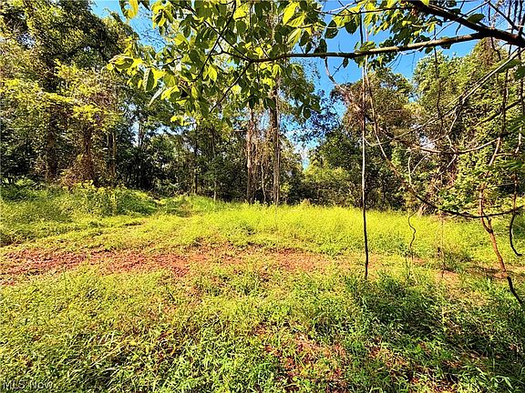 3rd image of 0 Dutch Ridge Rd