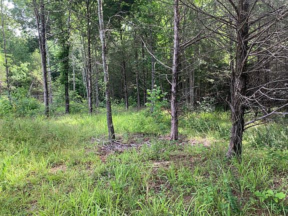 2nd image of Sparks Bend Ln Lot 1-2
