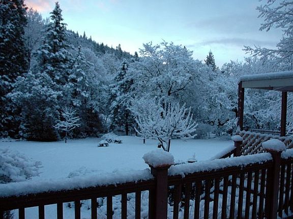 Back yard from master bedroom deck