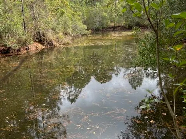 14150 Big John Rd, Biloxi, MS 39532