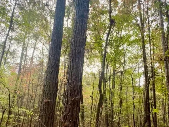 10684 Highway 22 E, Daviston, AL 36256