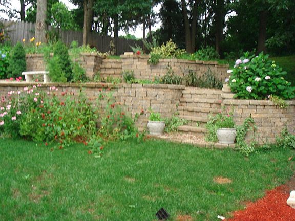 gardens in backyard