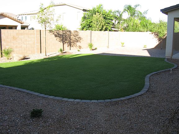 Backyard #1