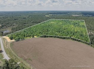 60/AC Luther Carter Rd, Petal, MS 39465