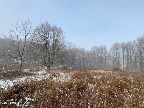Scott Center Rd, Starrucca, PA 18462