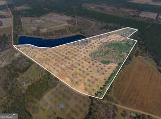 0 Cleary Rd, Brooklet, GA 30415