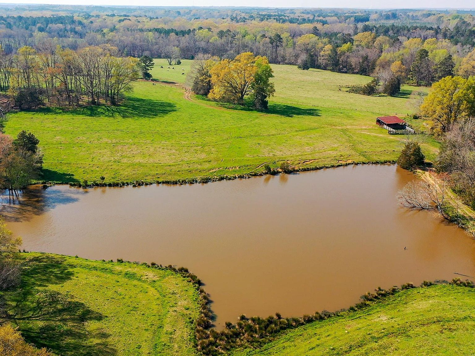 163 Medical Park Rd, Saluda, SC 29138 MLS 559288 Zillow