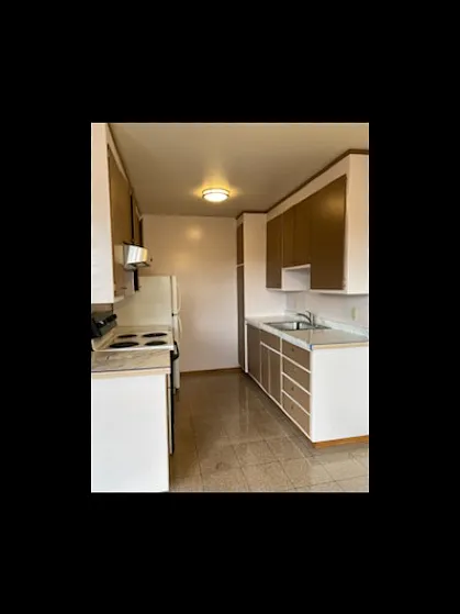 Kitchen - 500 Buena Vista Ave #H