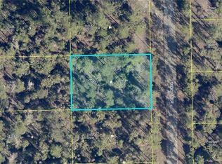 2121 Jackson Ave, Alva, FL 33920