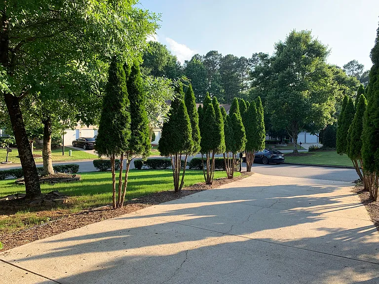 Another view of Driveway