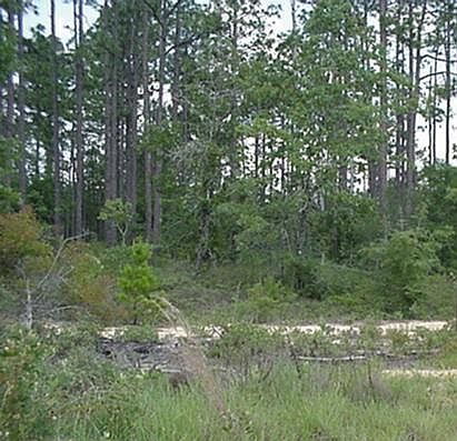 1st image of 30 South Dr