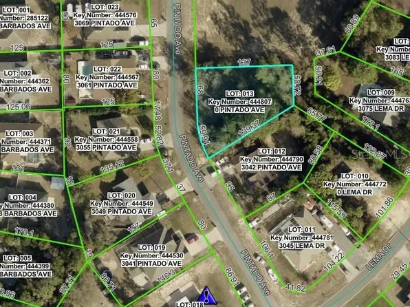 0 Pintado Ave Lot 13, Spring Hill, FL 34609