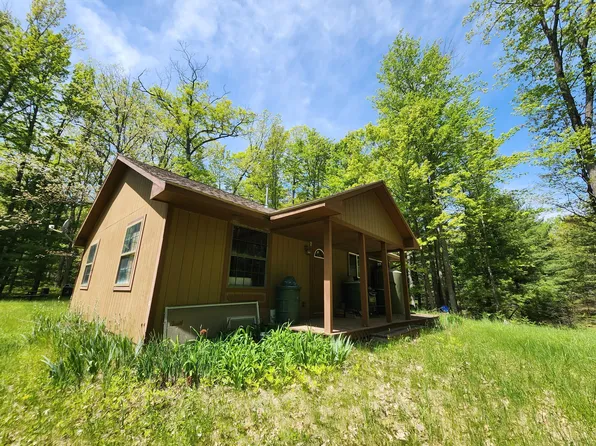 3658 S McCollum Lake Rd, Curran, MI 48728