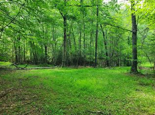 10334 Mill Creek Rd #33, Bent Mountain, VA 24059
