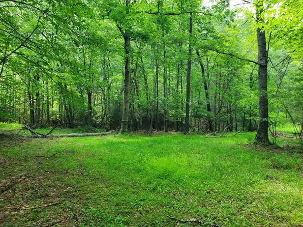 10334 Mill Creek Rd #33, Bent Mountain, VA 24059