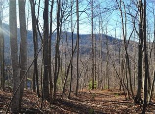 1305 Double Knob Dr LOT 95, ARDEN, NC 28704