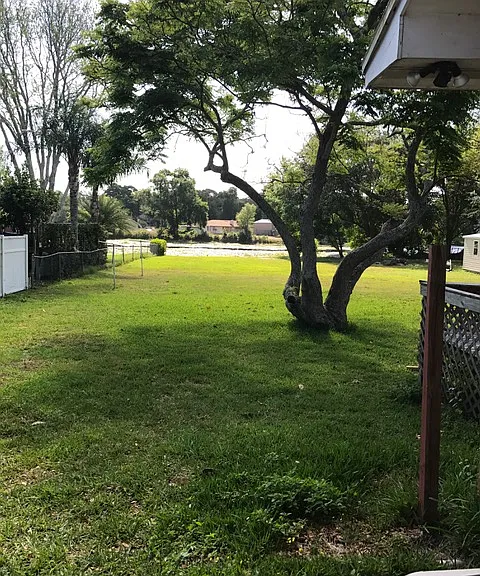 Back_06062019