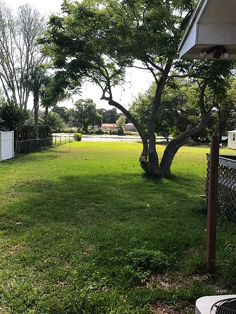 Back_06062019 - 1202 Glenridge Dr