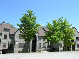 28 Fowler Rd #N302, Ludlow, VT 05149