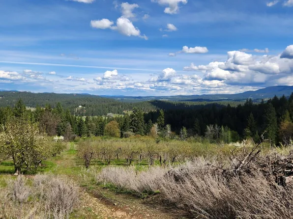 Woolard Rd, Colbert, WA 99005