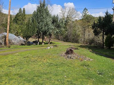 680 Cold Water Ranch Rd, Riddle, OR, 97469