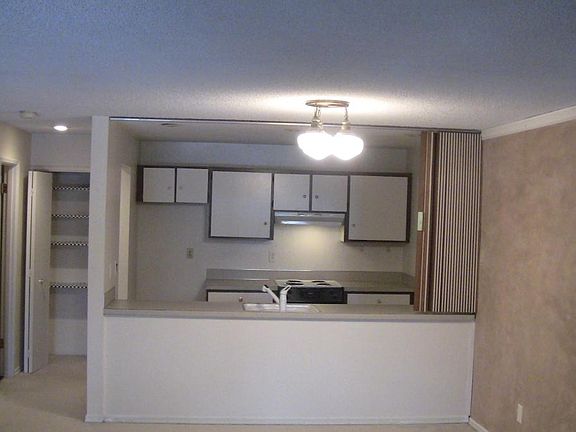 Kitchen view 1