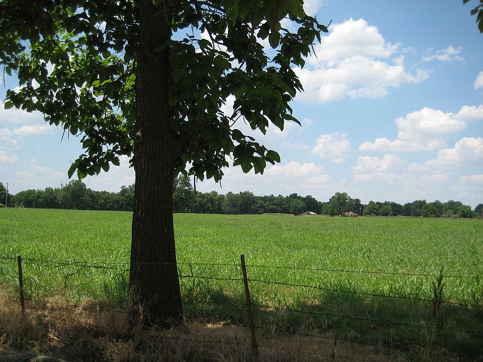 1st image of 171ST Street