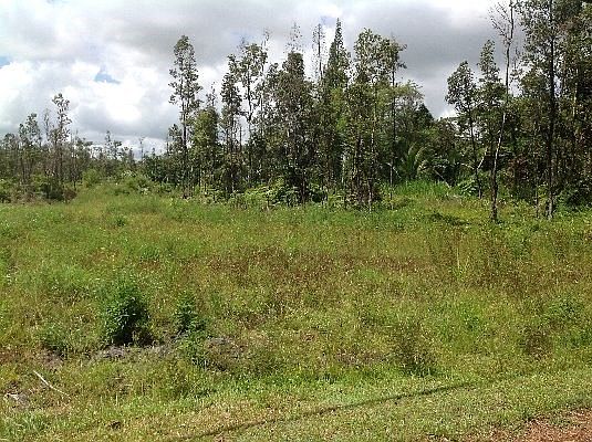 1st image of 19th Ave Lot 22