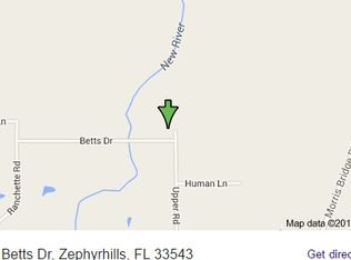 1944 Upper Rd, Wesley Chapel, FL 33543