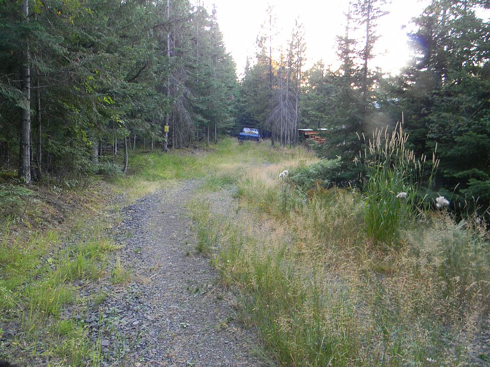 1st image of 231 Buckskin Ln