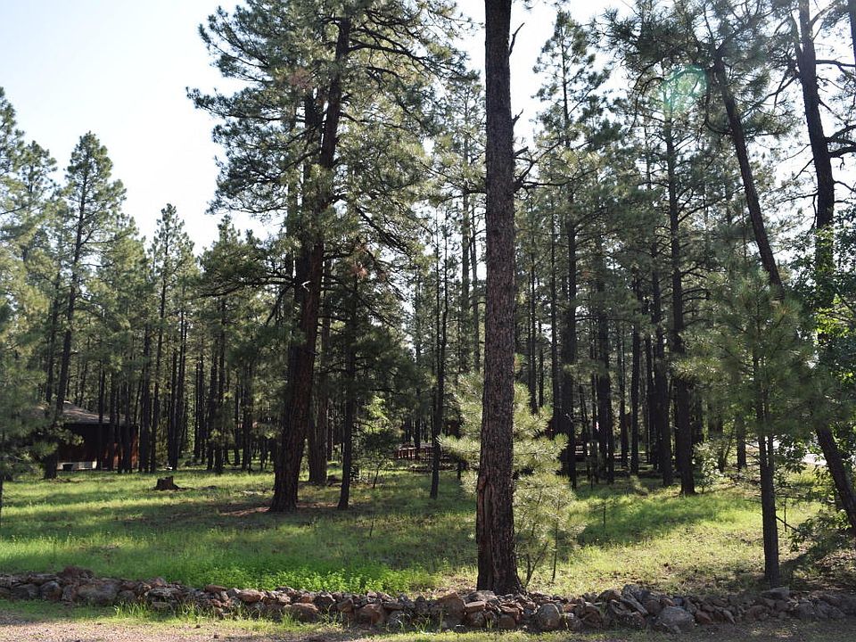 2nd image of 2485 Black Bear Ln