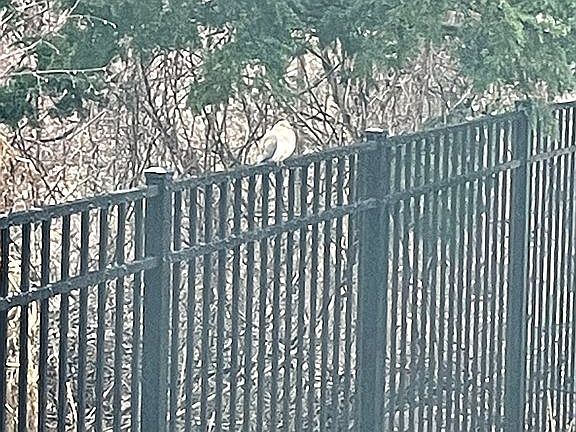 Fence installed Dec’22