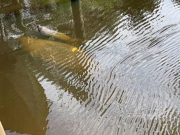 2nd image of 1459 SW Covered Bridge Dr