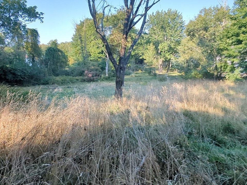2nd image of 177A Edmands Rd