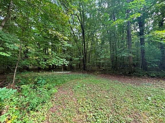5th image of N13638 Dickerson Avenue