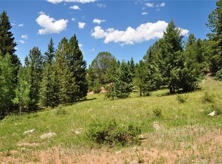 540 Anges Dr #10, Cripple Creek, CO 80813
